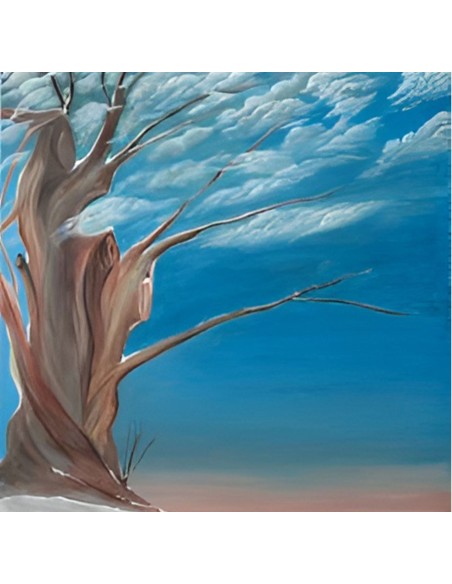 Tableau peinture acrylique huile sur toile Pari RAVAN